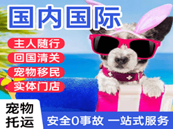天津滨海机场空运国际宠物托运 【国